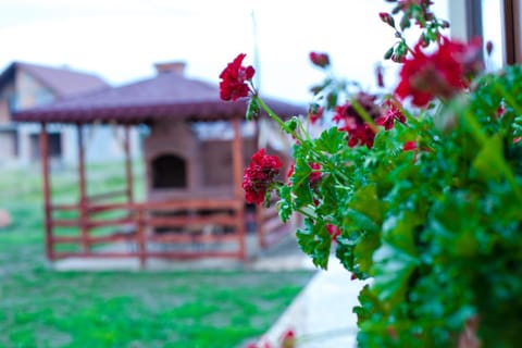 BBQ facilities, Garden view