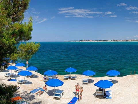 Beach, group of guests