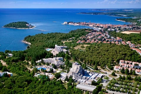 Bird's eye view, Bird's eye view, Beach