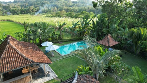 Natural landscape, Garden, Pool view