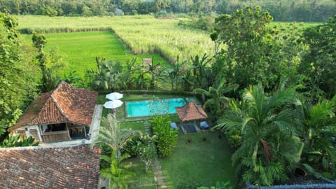 Natural landscape, Garden view, Pool view