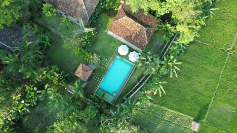 Garden view, Pool view