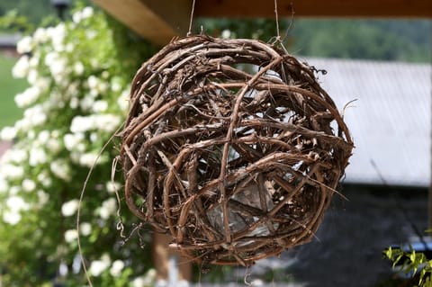 Haus Schönblick Apartment in Brand