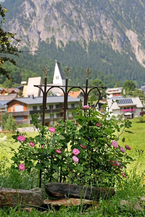Haus Schönblick Apartment in Brand