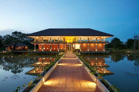 Property building, Night, Natural landscape