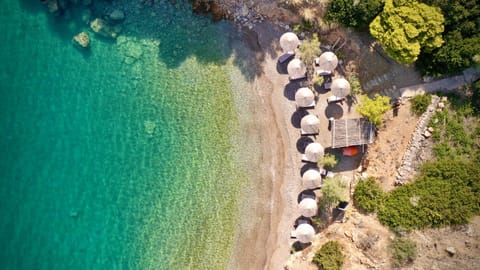 Bird's eye view, Beach