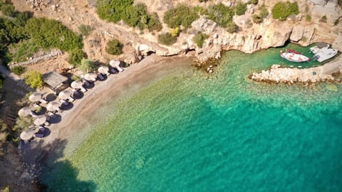 Bird's eye view, Balcony/Terrace, Beach