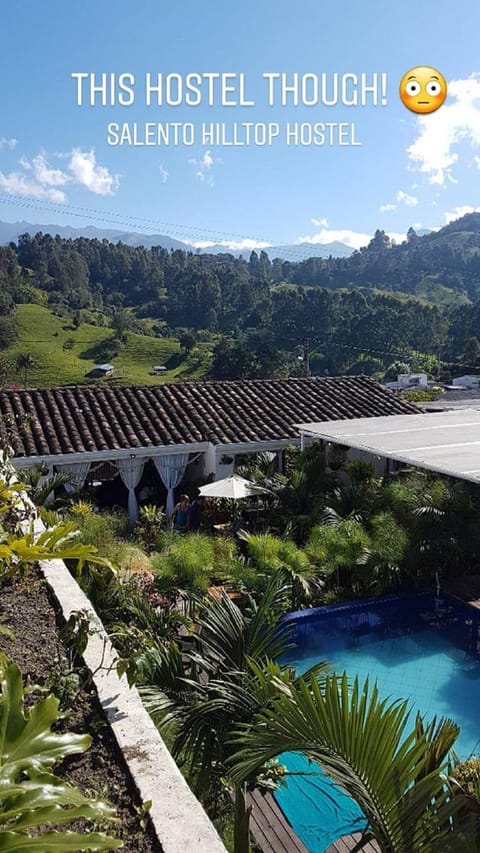 Day, Summer, On site, Pool view, Swimming pool