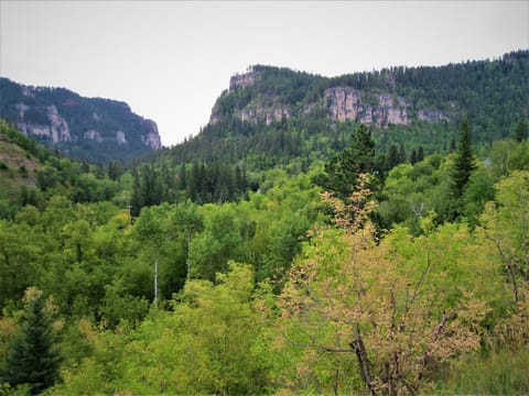Spearfish Canyon Lodge Hotel in North Lawrence