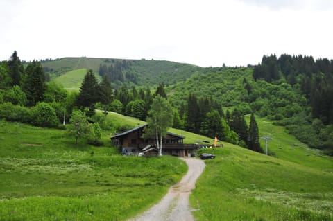 Natural landscape, Bird's eye view, Garden, Hiking