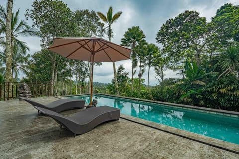 Day, Natural landscape, Garden, Garden view, Pool view, Swimming pool, sunbed