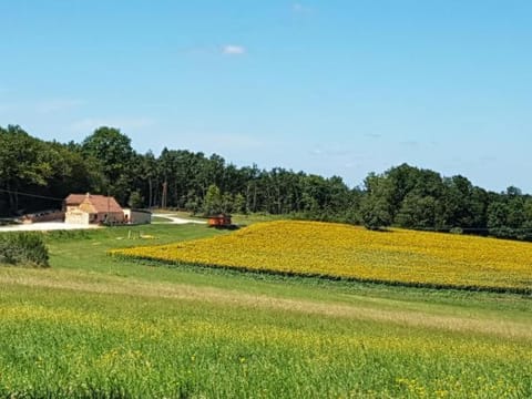 L'Evidence Bed and Breakfast in Montignac