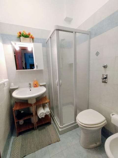 Shower, Toilet, Bathroom, bidet