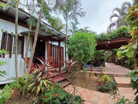 Patio, Garden view