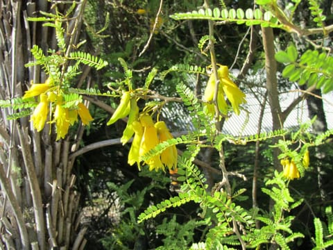 Natural landscape