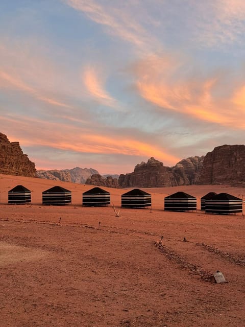 Desert Bird Camp Bed and Breakfast in South District