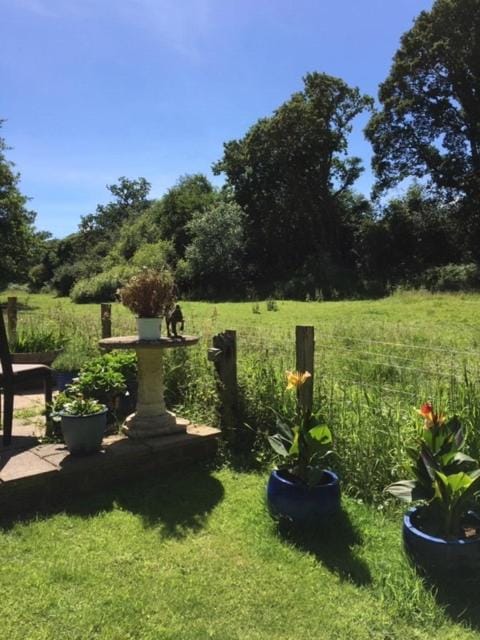 Bridge Cottage Country House in Chichester District