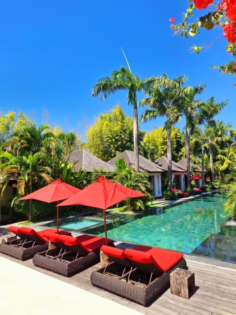 Pool view, Swimming pool