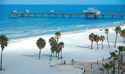 Camelot Beach Suites Hotel in Clearwater Beach