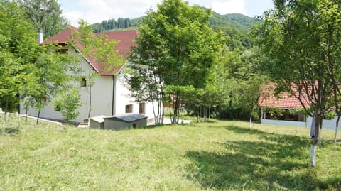 Alina House Villa in Romania