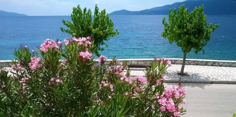 Vintage House Casa in Agia Effimia