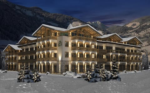 Facade/entrance, Night, Winter