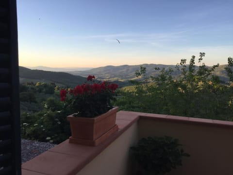 Terrazza a Campana Eigentumswohnung in Panzano In Chianti