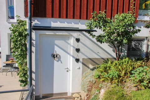 Other, Area and facilities