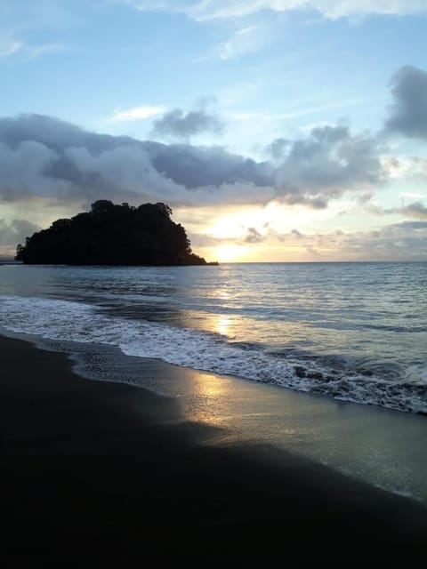 Natural landscape, Beach, Sunset