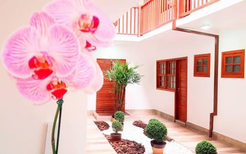Garden, Lobby or reception