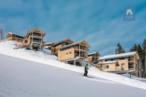 Property building, Winter, Skiing