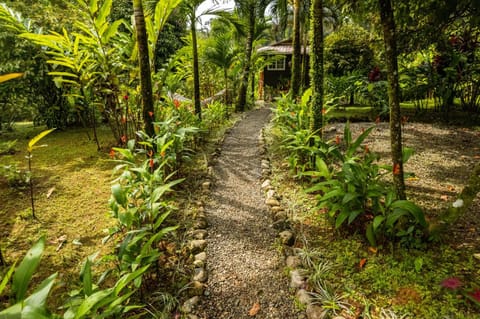 Bluff Hidden Paradise Country House in Bocas del Toro Province