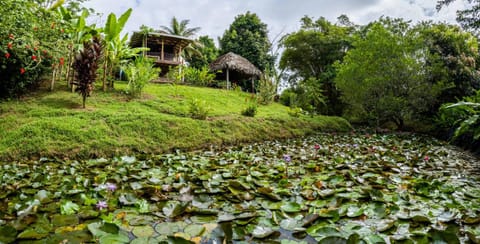 Bluff Hidden Paradise Country House in Bocas del Toro Province