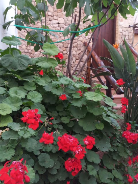 Mystery Garden Guest House Bed and Breakfast in Famagusta District