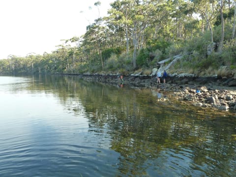 Oyster Shack Nature lodge in Tasmania