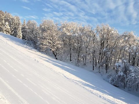 Nearby landmark, Skiing