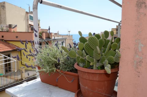 Balcony/Terrace, City view, Sea view