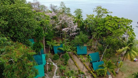Corcovado Adventures Hostel in Puntarenas Province