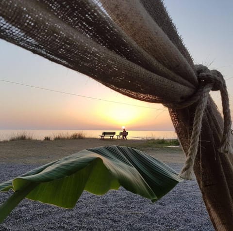 Beach, On site, Sunset