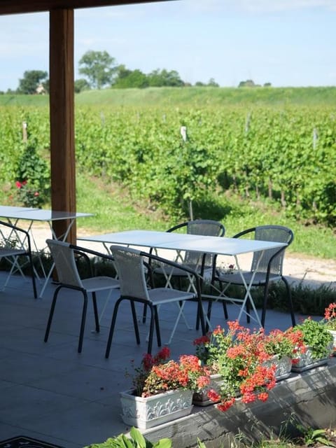 Garden, Garden view, Italian breakfast