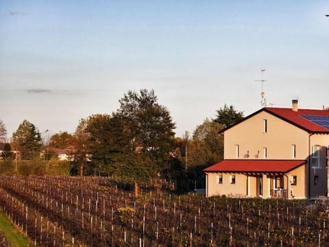 Property building, Neighbourhood, Sunset