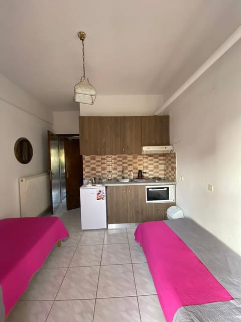 Pansion Vasiliki Apartment in Halkidiki