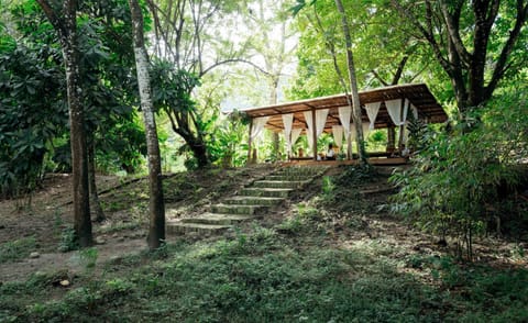 Natural landscape, Massage, Spa and wellness centre/facilities