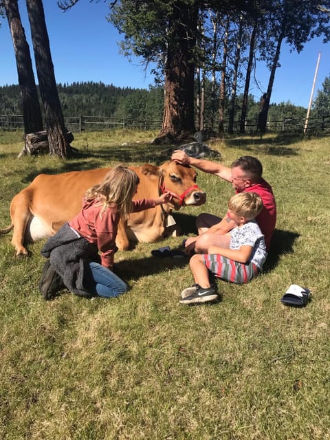 Montana Hill Guest Ranch Séjour à la ferme in British Columbia