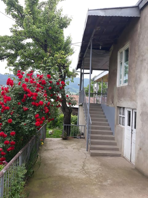 Garden, Balcony/Terrace