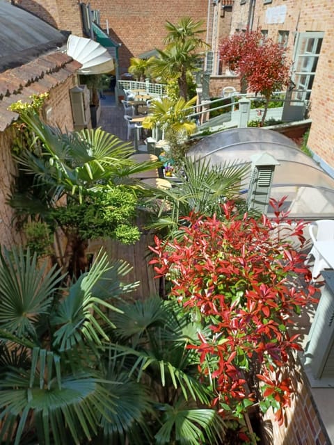 Patio, Spring, Balcony/Terrace, Garden view