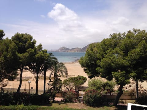 Bird's eye view, Beach