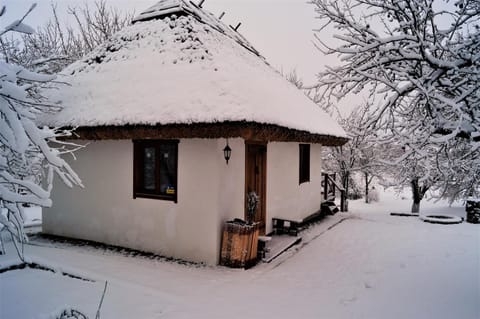 Suhaya Balka Chalet in Dnipropetrovsk Oblast