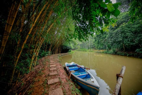 Bamboo Creek Resort Resort in Kerala