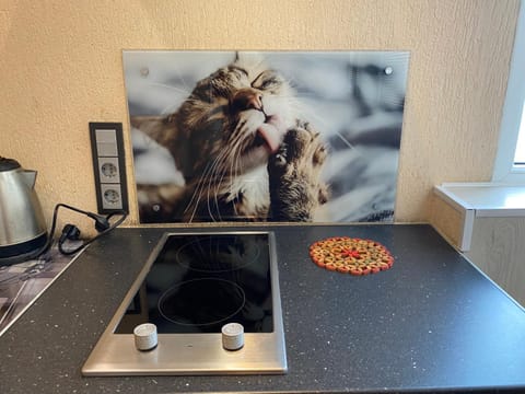 stove, kitchen